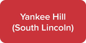 Yankee Hill button