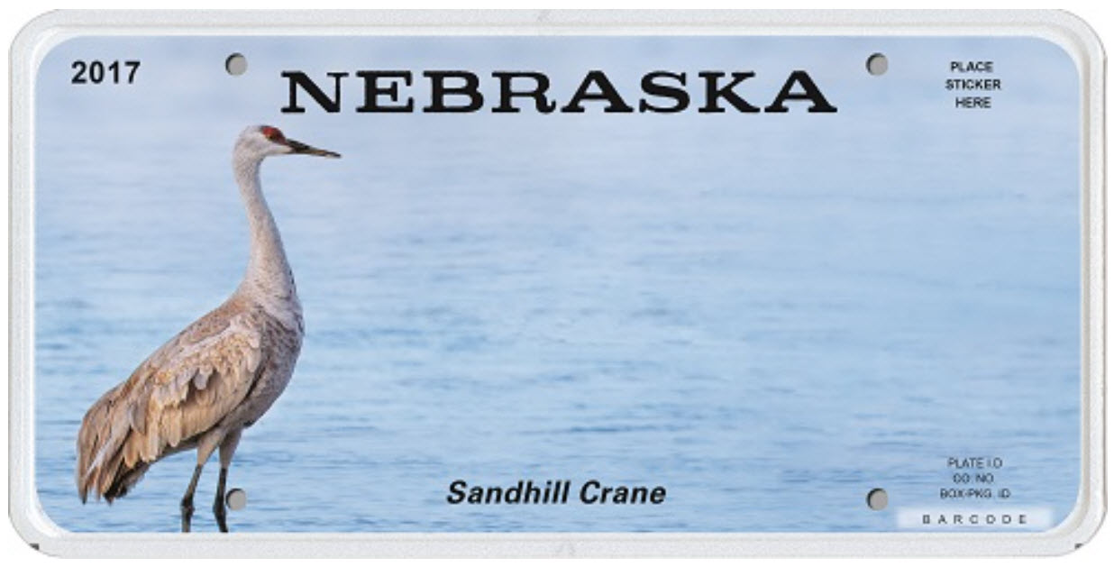 Sandhill crane license plate