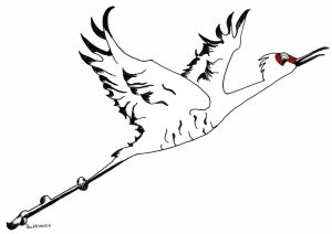 Sandhill Crane drawing