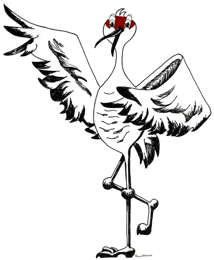 Sandhill Crane drawing