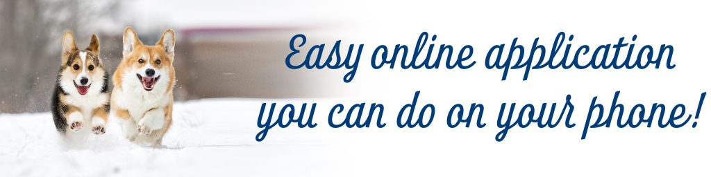 easy online application