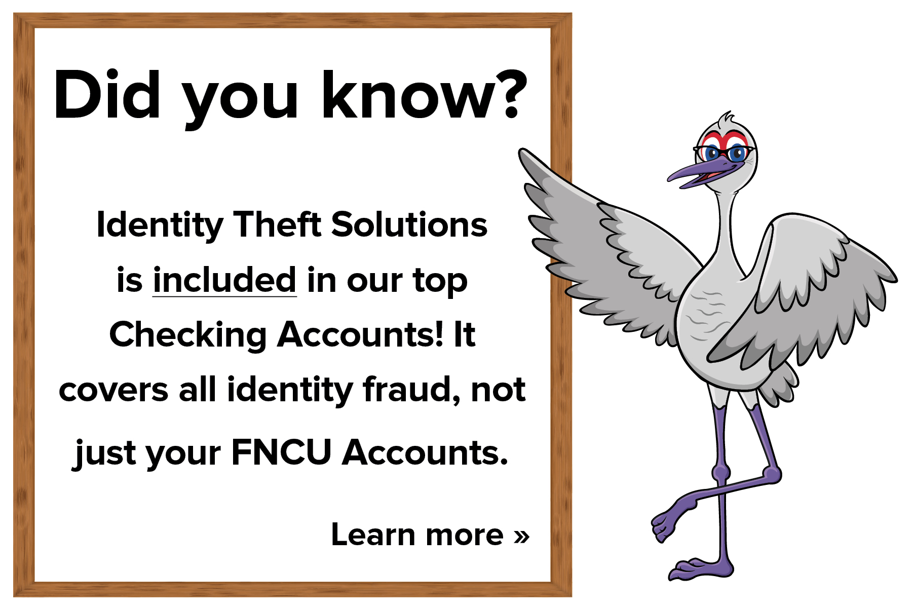 identity theft solutions