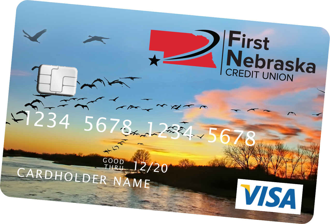 Visa Credit Card