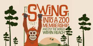 Swing into a zoo membership.